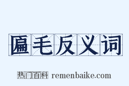 匾毛反义词是什么意思的图片